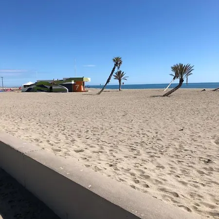 Belle Vue Sur La Et Les Pyrenees Le Barcarès